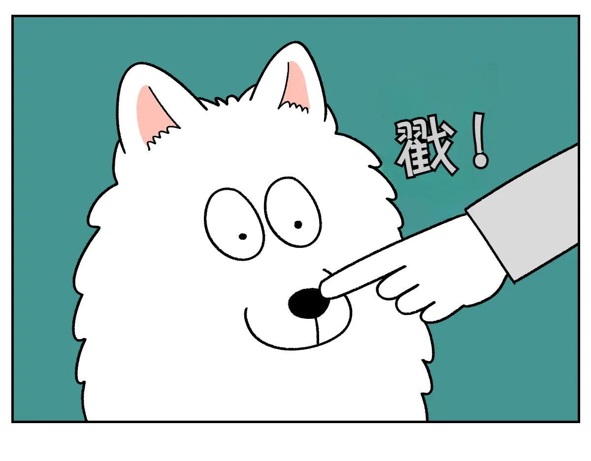 第31话 捡屎生活-第99话
