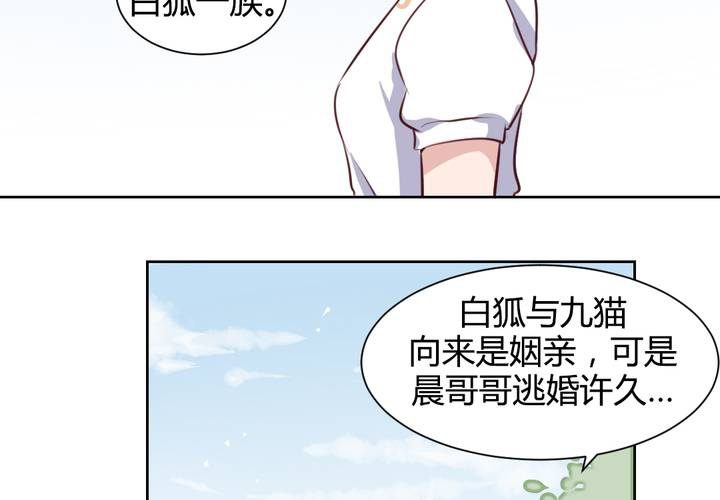 第58话 可爱的白狐婚约者-第59话