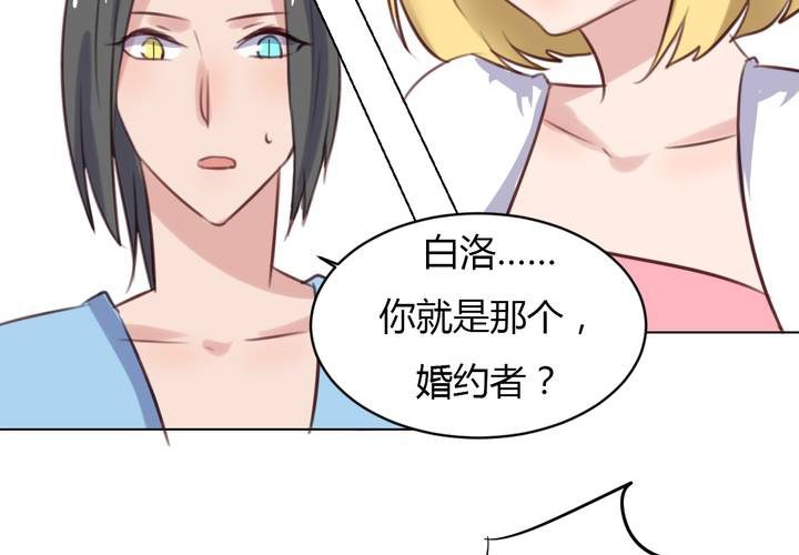 第64话 最终的告白-第65话