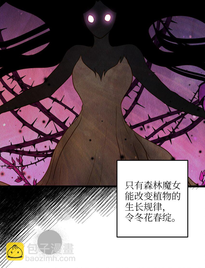 65 魔女之邀(1/2)-第65话