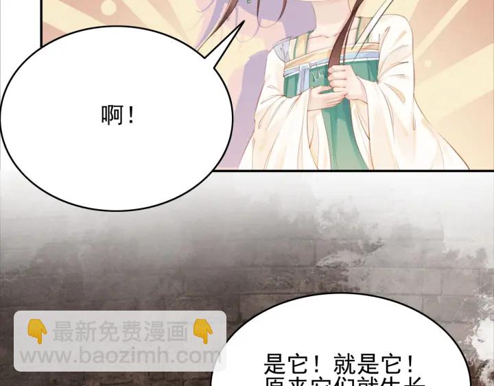 第204话 皇姐忘记的那些事(1/2)-第203话