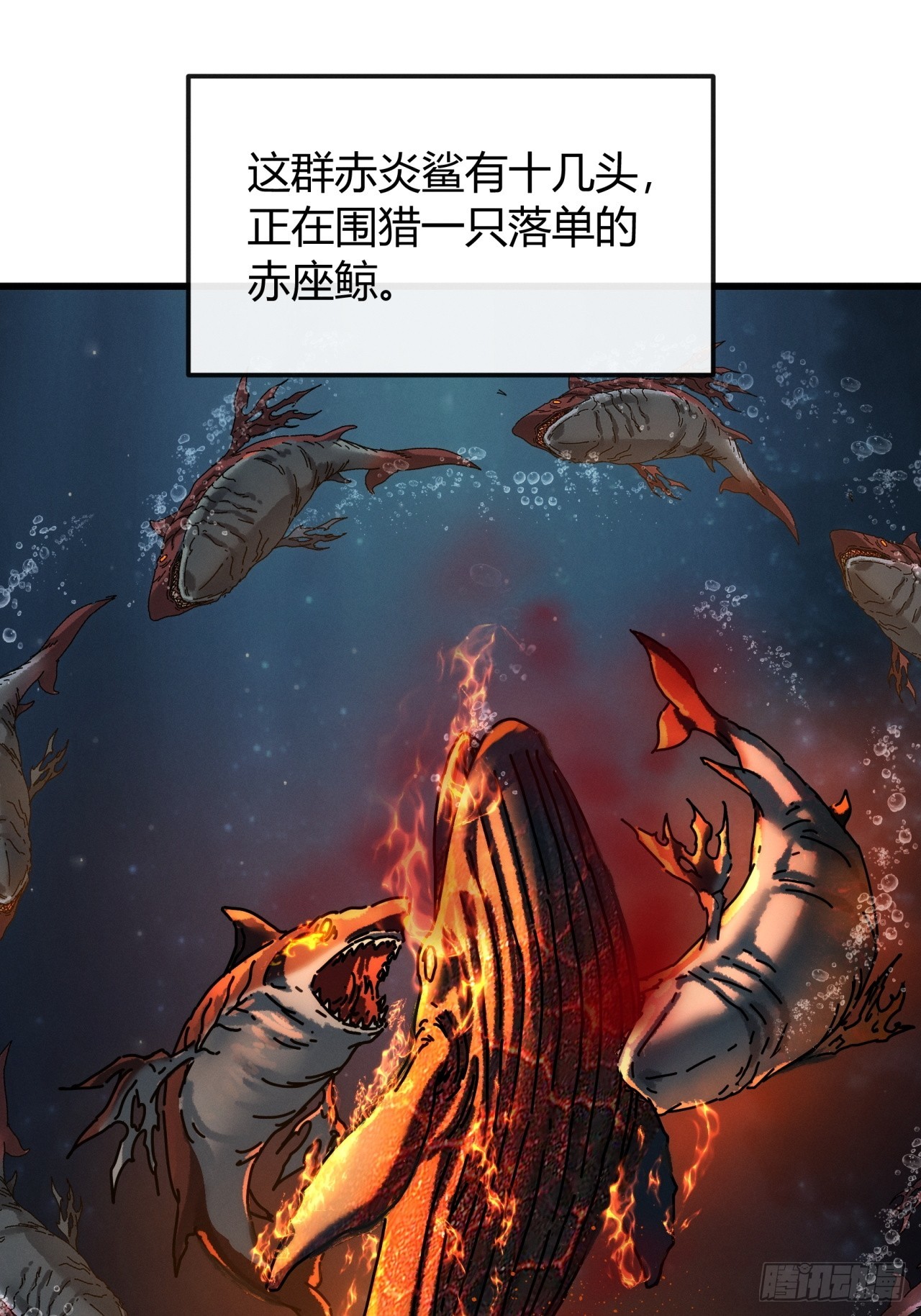 运气好(1/2)-第39话