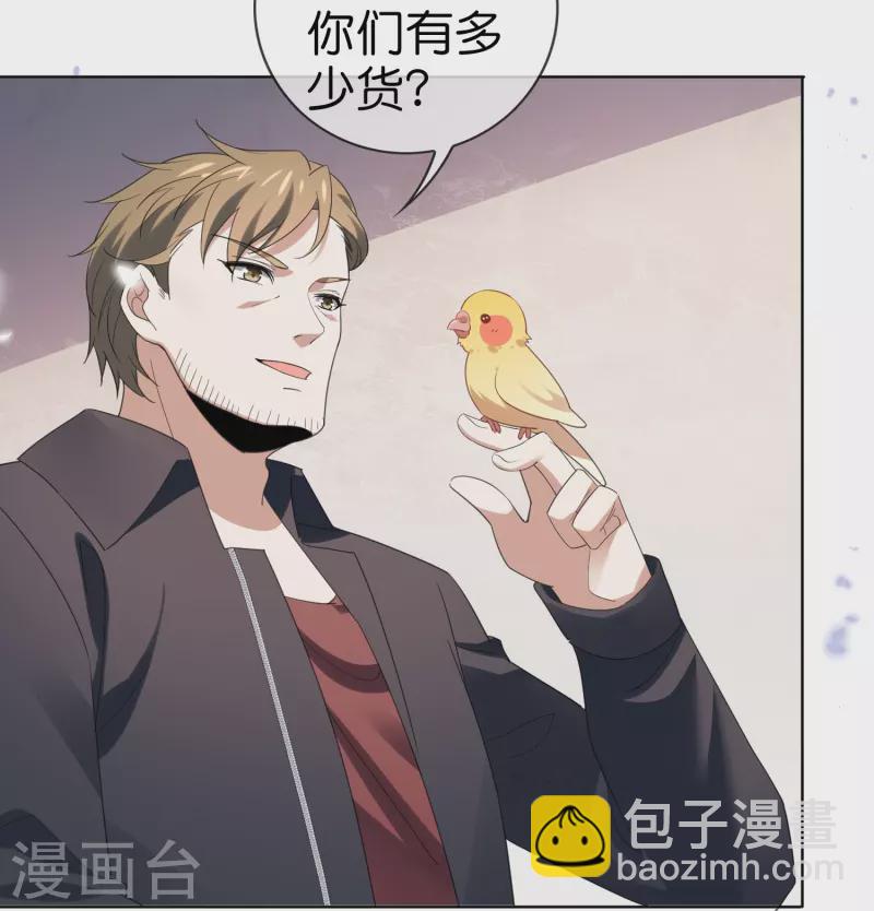 第118话 小鸟令箭-第119话