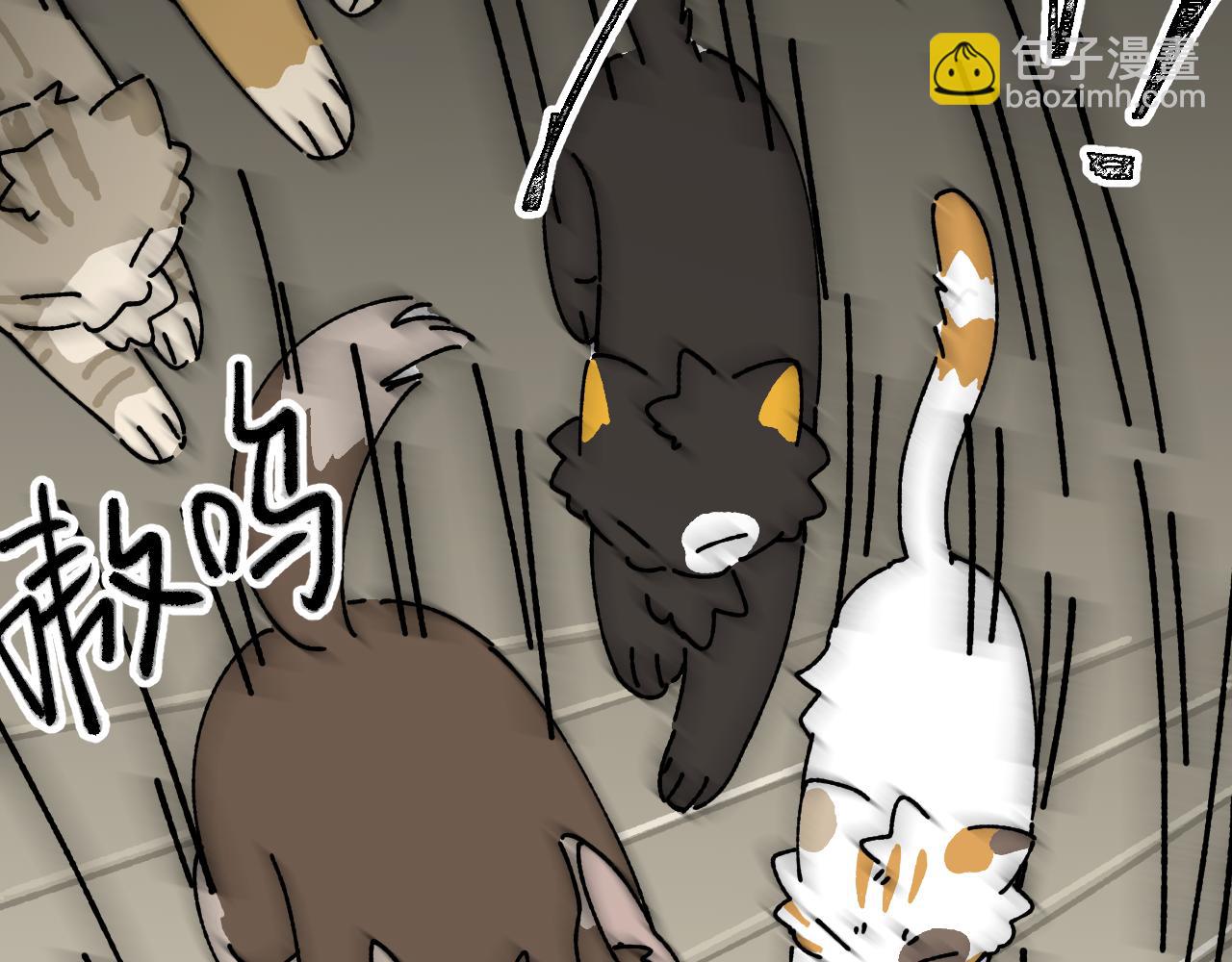 我的上司是隻貓？ - 媽媽,這是天堂麼(1/2) - 5