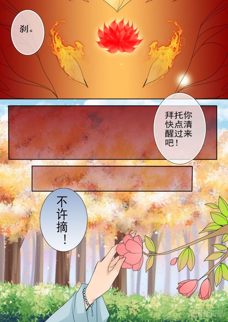 第一百六十四话-第149话