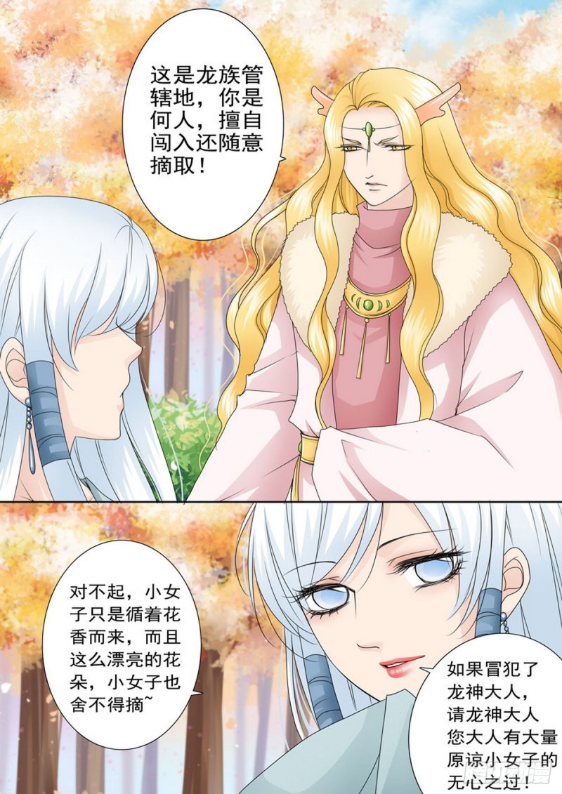 第一百六十四话-第149话