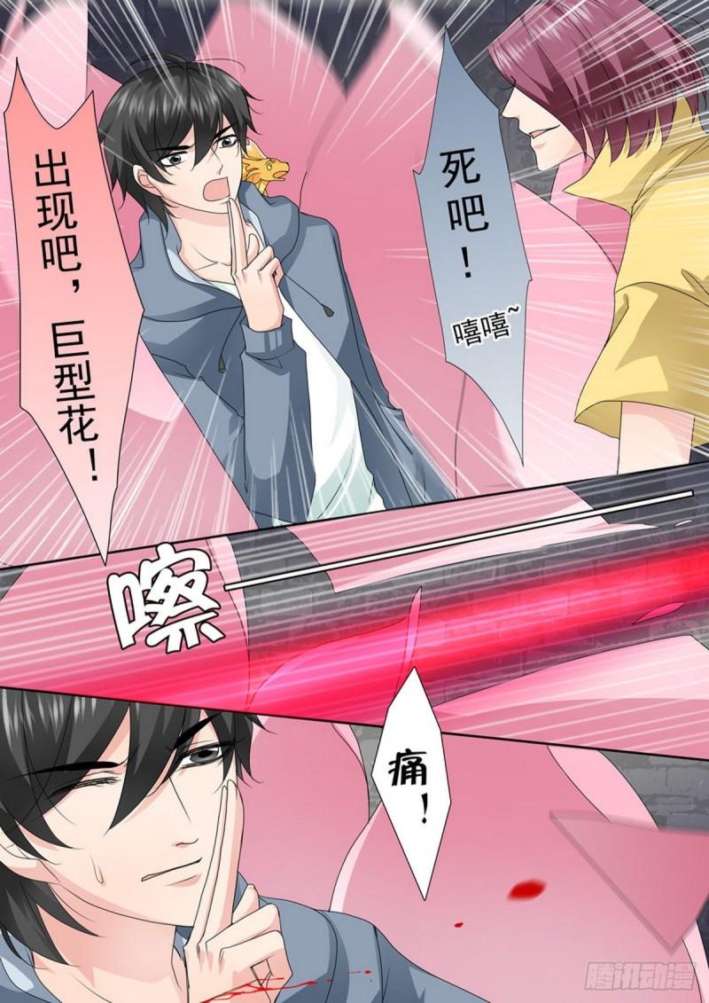 第一百八十六话-第171话