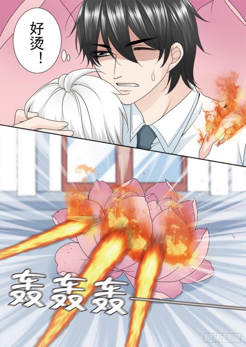 第两百四十八话-第233话