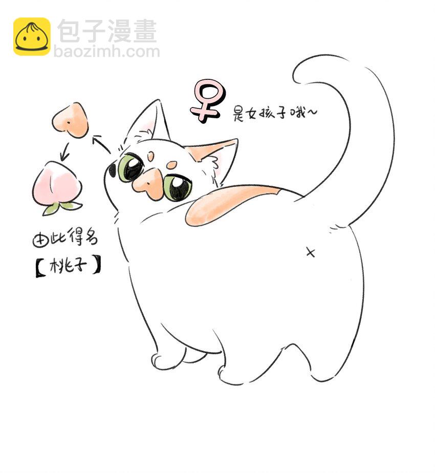 153 叹气二人组(1/2)-第159话