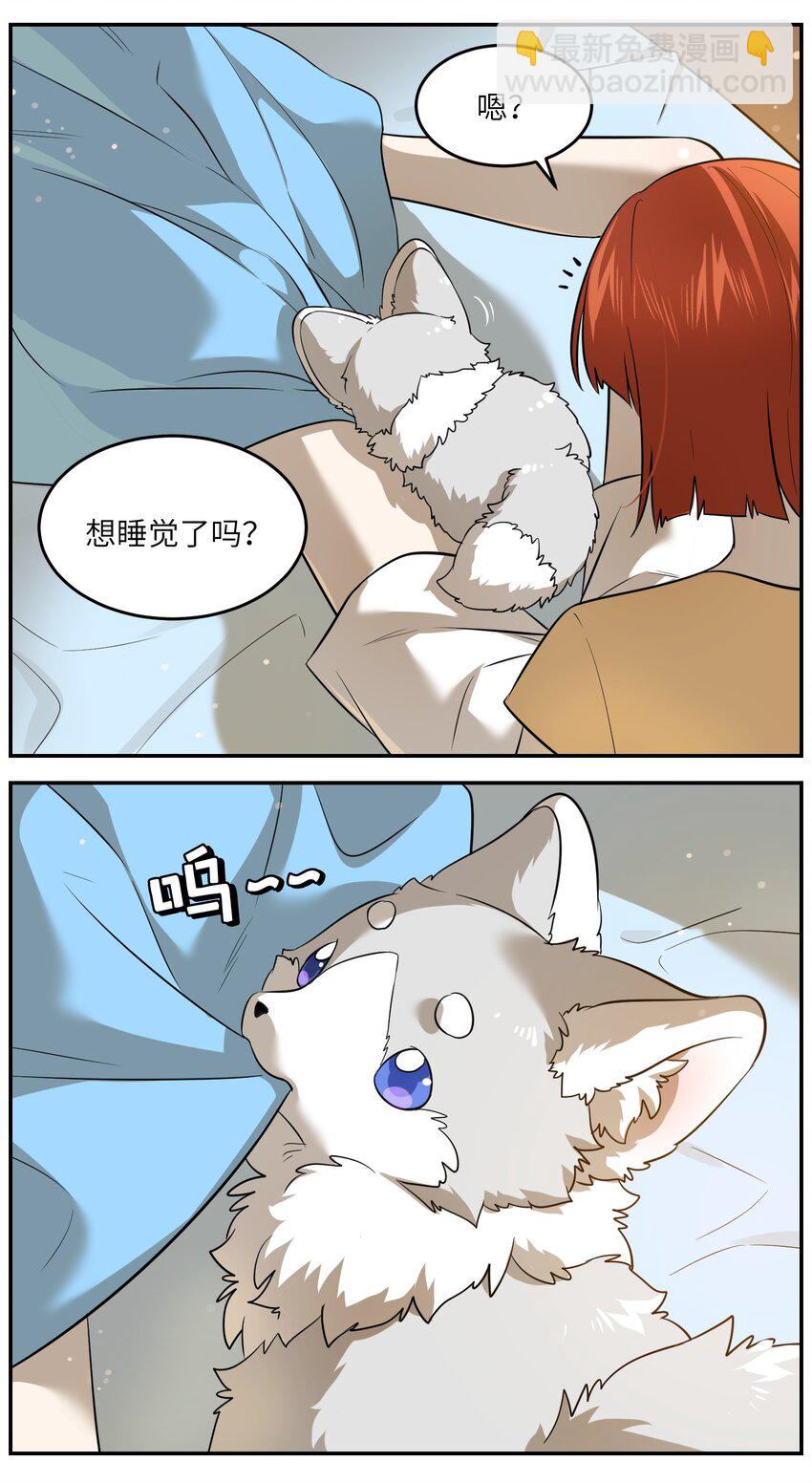 033 是小黑！-第33话