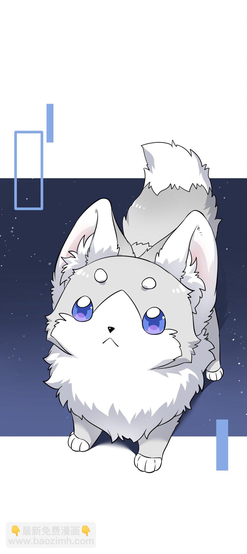 特别篇1 小红帽-第35话