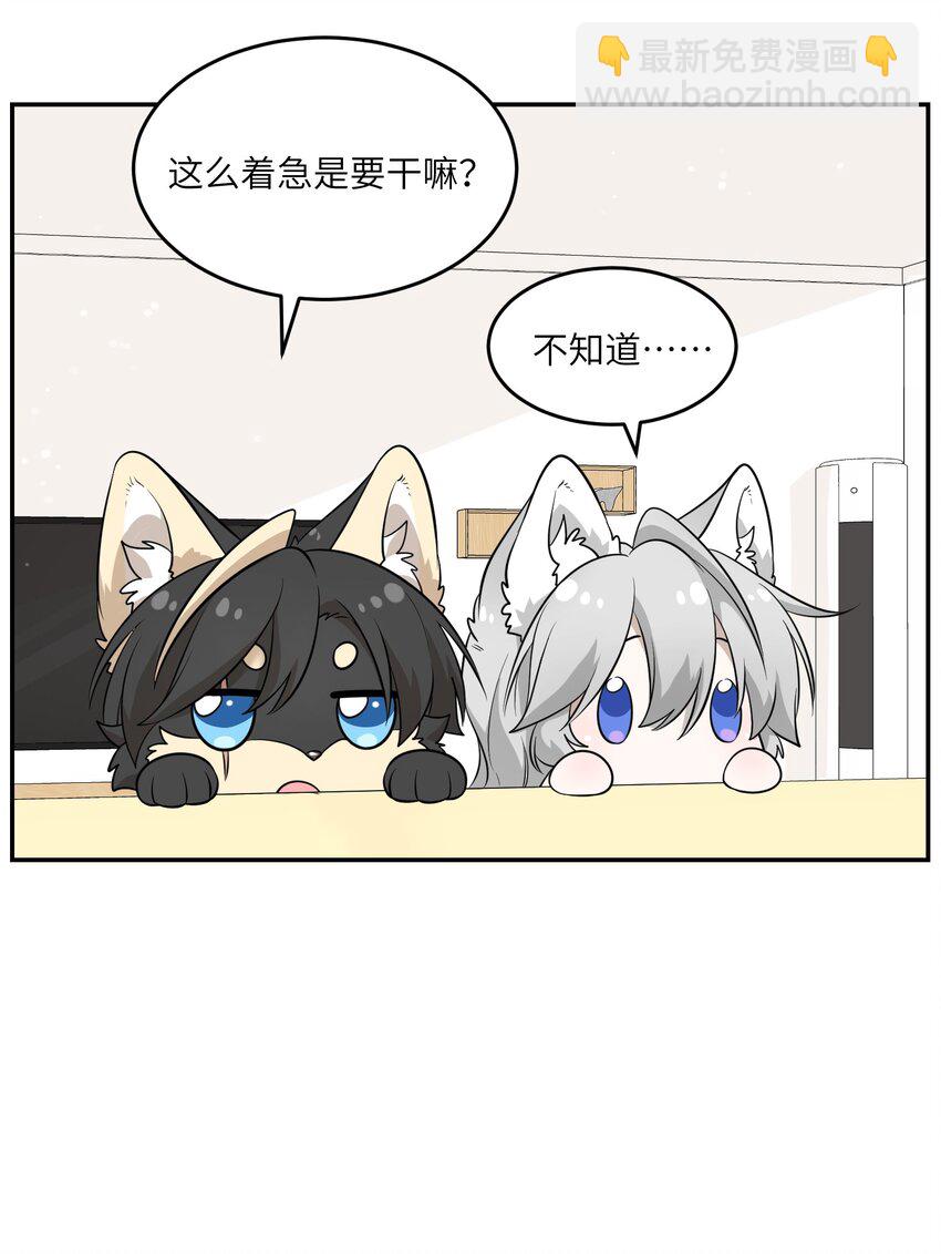 083 决心-第85话