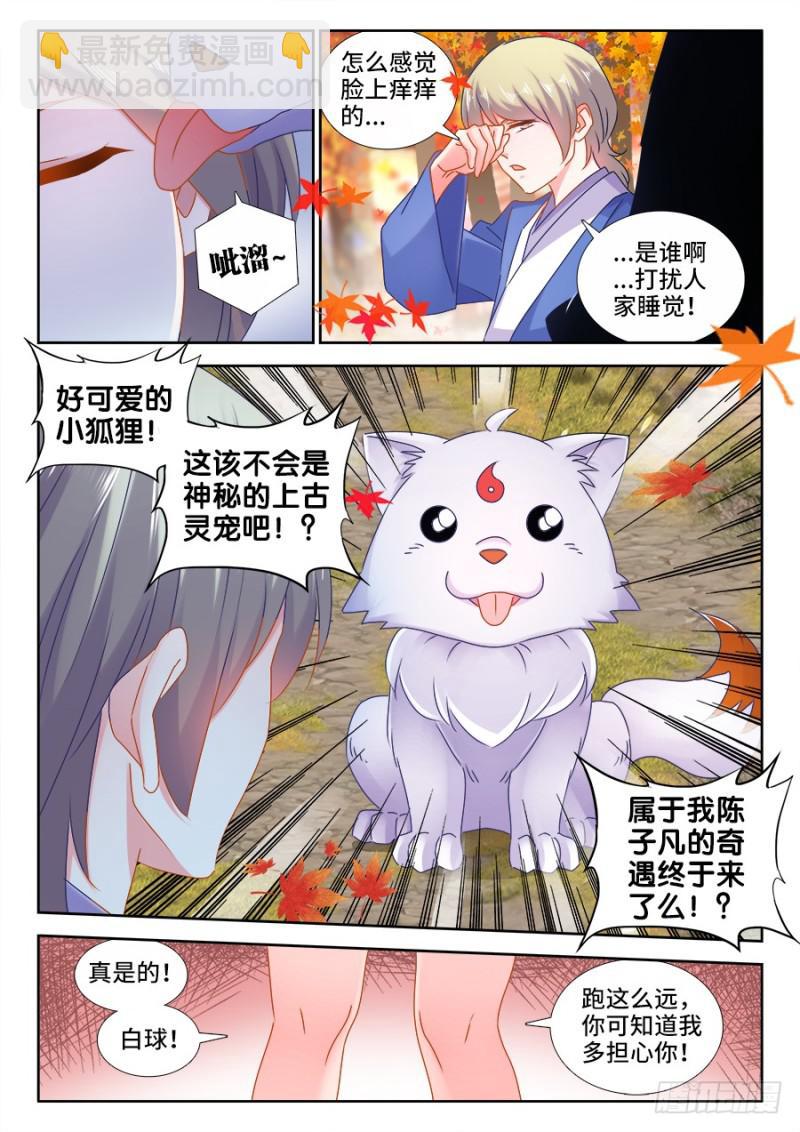 523、林芷-第521话