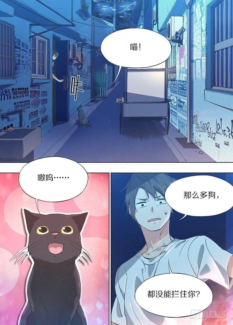 6.我养猫了！-第7话