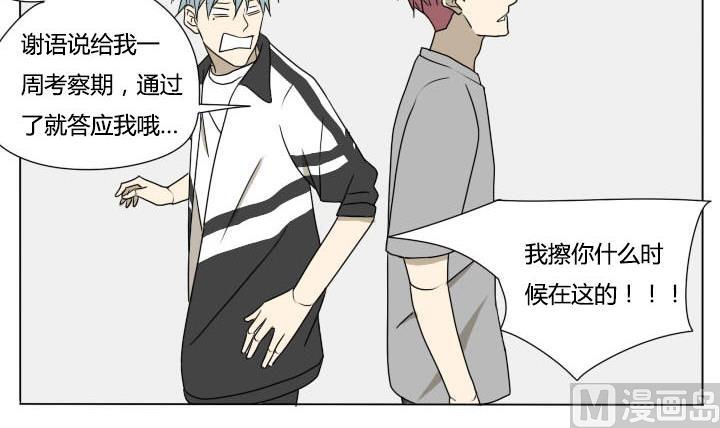 第117话 单身-第117话