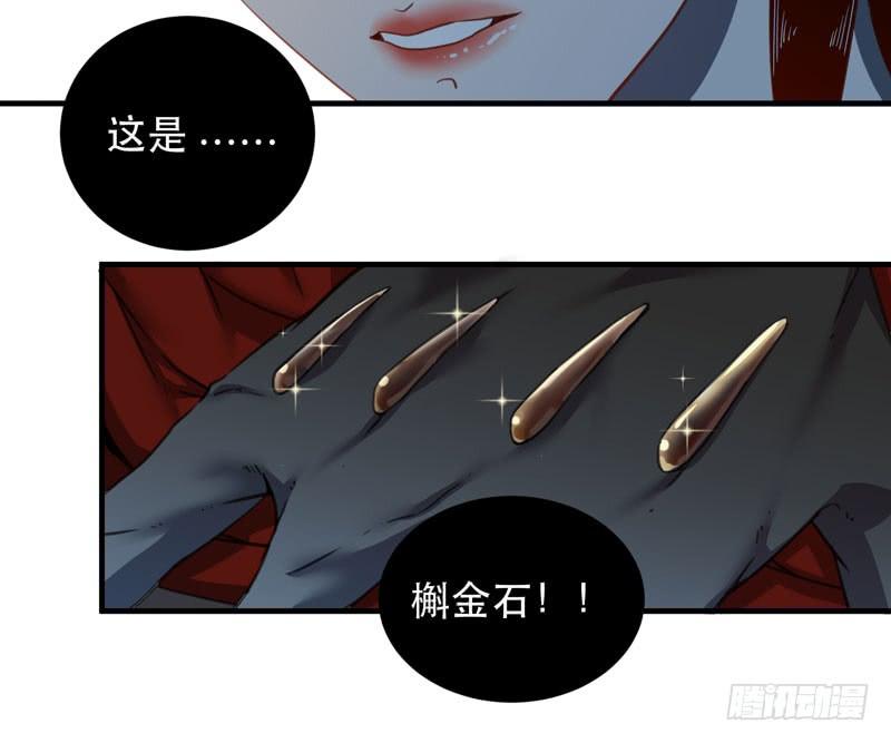 令人骇然的槲金石！(1/2)-第33话