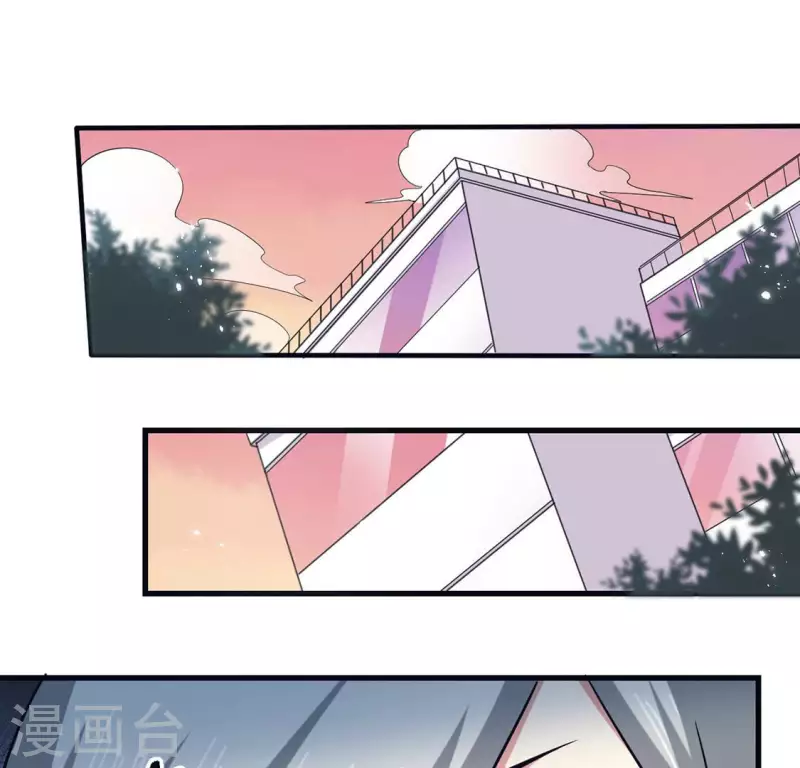 最终话 猪弟弟消失了(1/2)-第71话