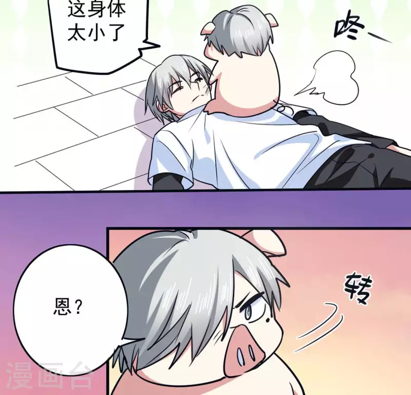 最终话 猪弟弟消失了(1/2)-第71话