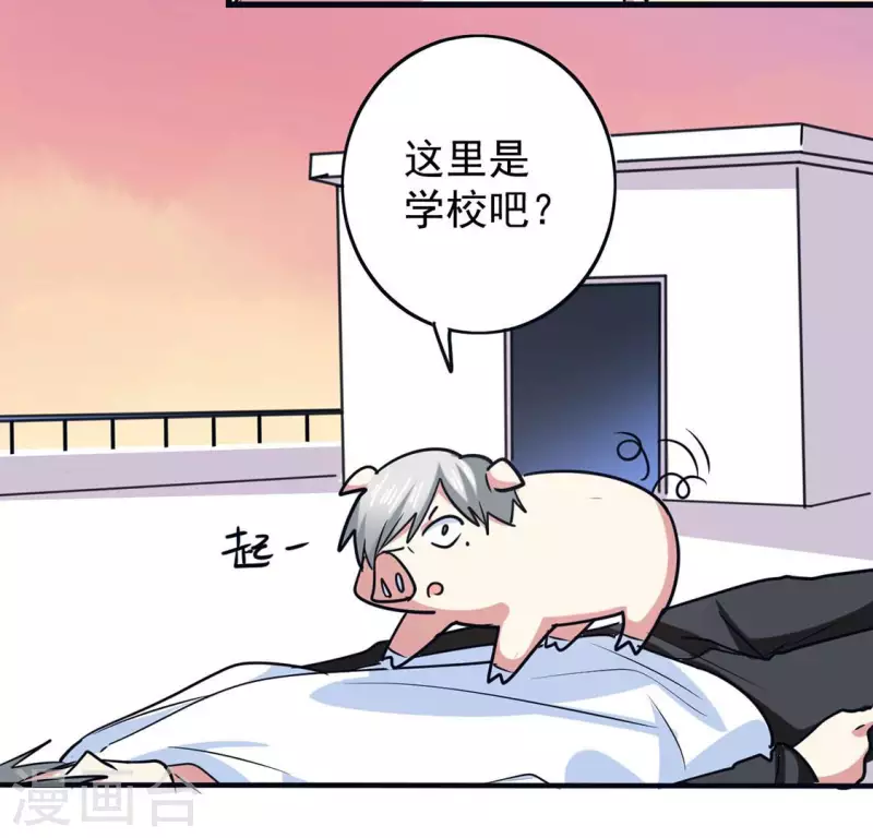 最终话 猪弟弟消失了(1/2)-第71话