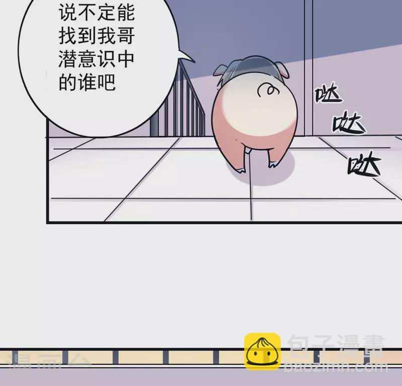 最终话 猪弟弟消失了(1/2)-第71话