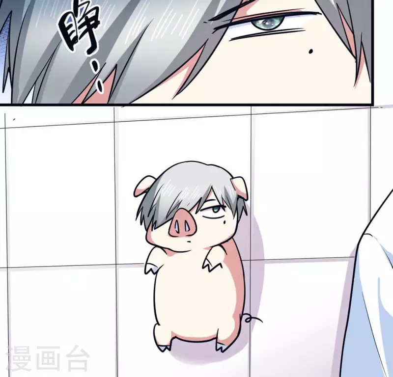 最终话 猪弟弟消失了(1/2)-第71话