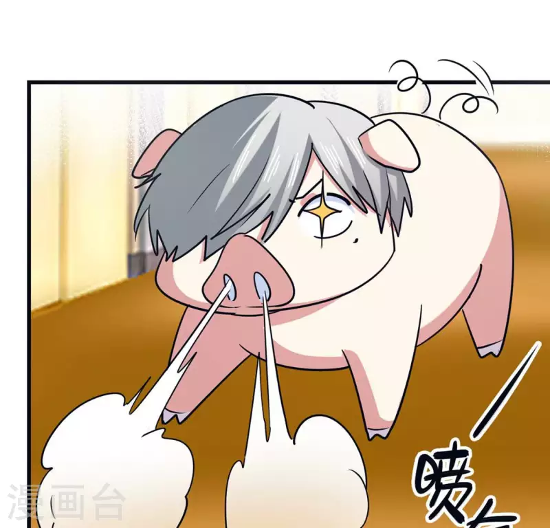 最终话 猪弟弟消失了(1/2)-第71话