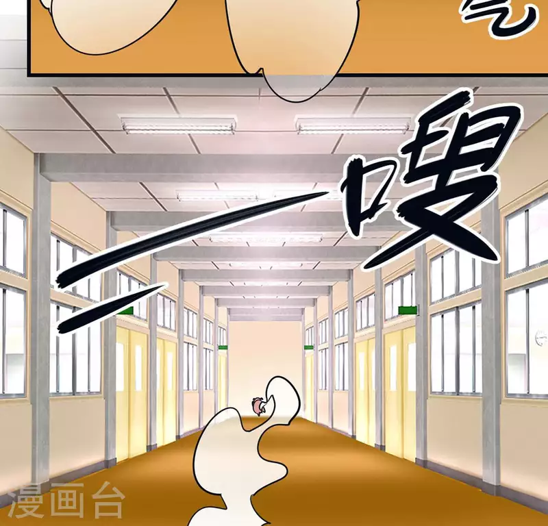 最终话 猪弟弟消失了(1/2)-第71话