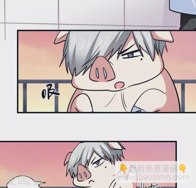 最终话 猪弟弟消失了(1/2)-第71话