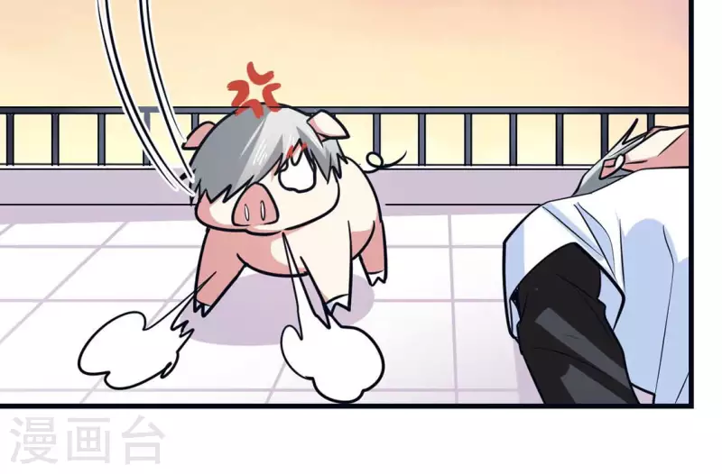 最终话 猪弟弟消失了(1/2)-第71话
