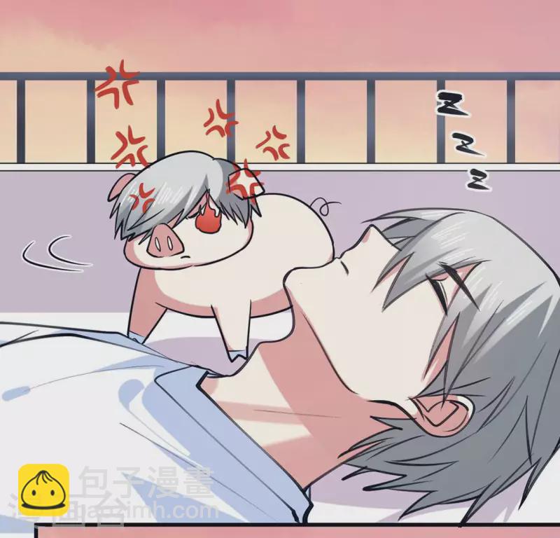 最终话 猪弟弟消失了(1/2)-第71话