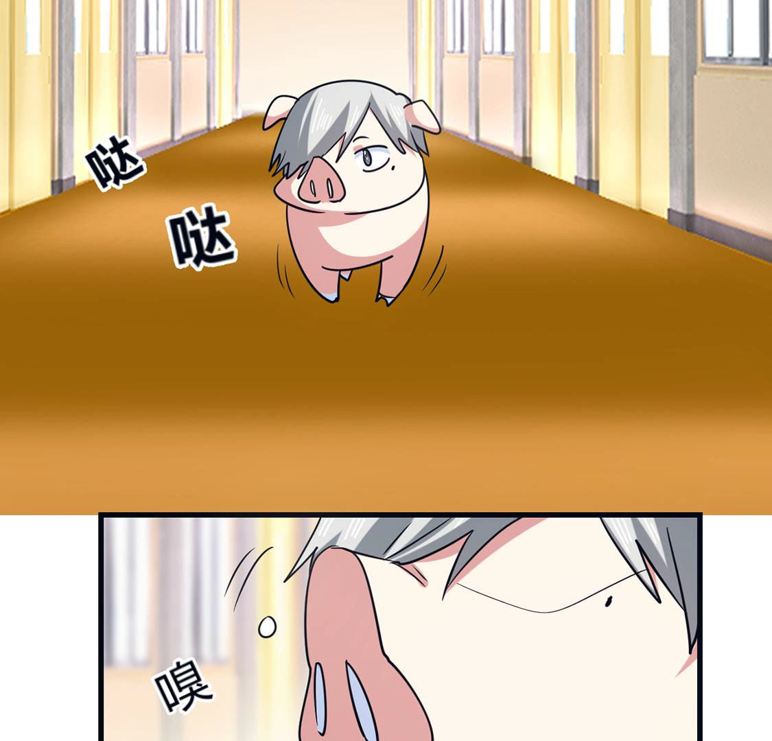 第64话 猪弟弟消失了(1/2)-第65话