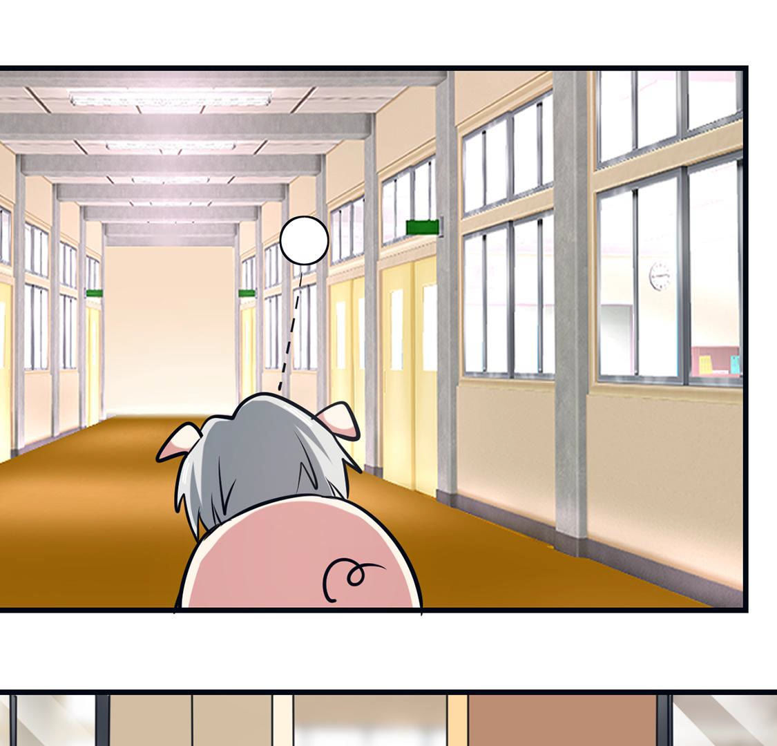 第64话 猪弟弟消失了(1/2)-第65话