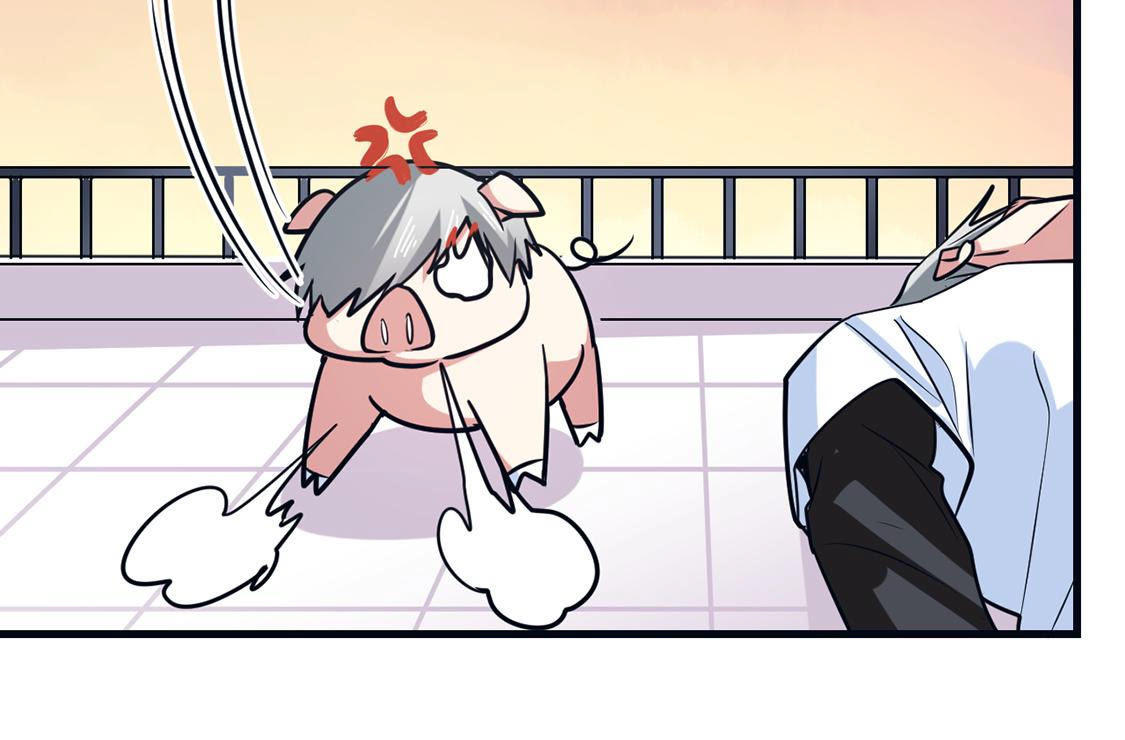 第64话 猪弟弟消失了(1/2)-第65话