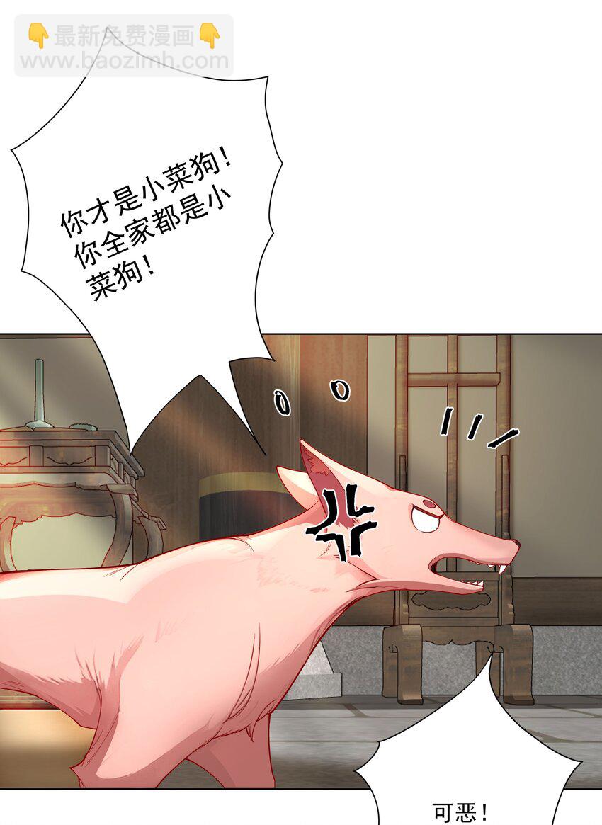 20 捡个小菜狗-第21话
