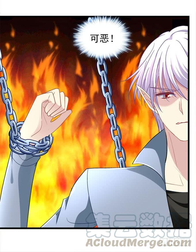 你以为本王的血是那么好喝的吗？(1/2)-第175话