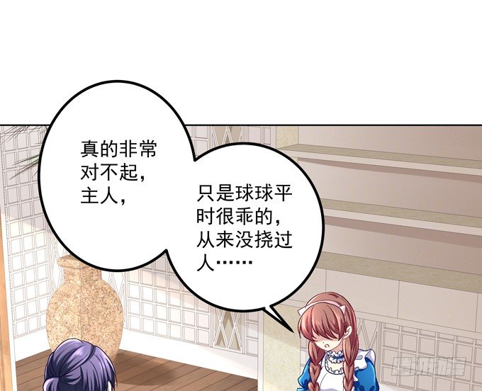 穿女仆装的保镖(1/2)-第3话
