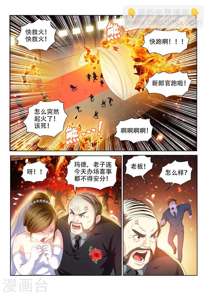 第103话 玉蟾蜍-第103话