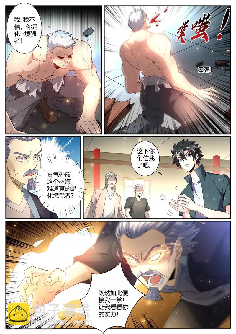 第262话 比天才更天才-第263话