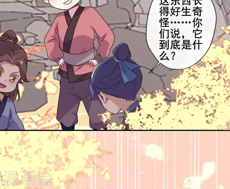 第36话 三堂主给的手帕-第41话