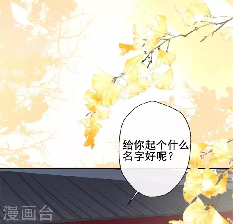 第38话 Get到一只萌宠-第43话