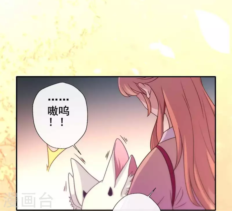 第38话 Get到一只萌宠-第43话