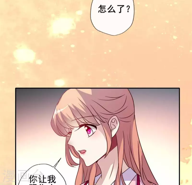 第38话 Get到一只萌宠-第43话
