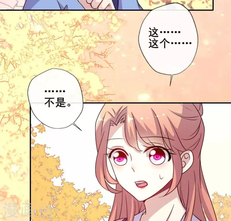 第38话 Get到一只萌宠-第43话