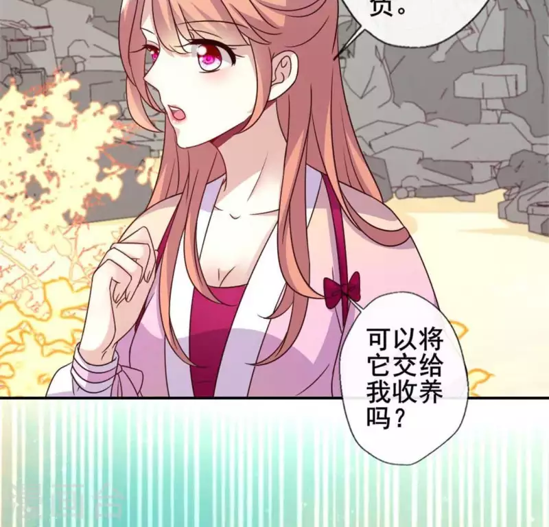 第38话 Get到一只萌宠-第43话
