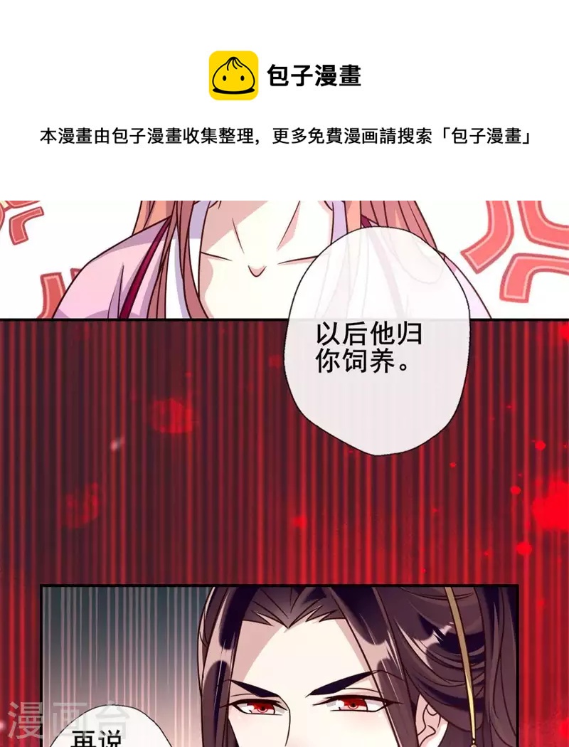 第48话 饲养小狼狗？清明时节-第53话