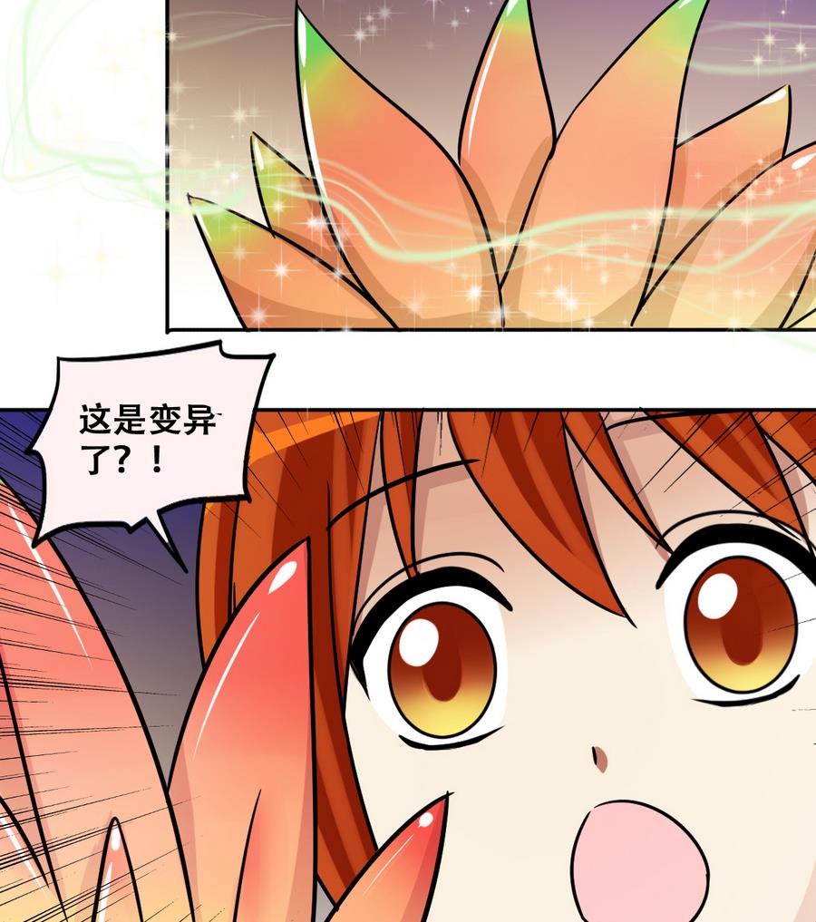 第252话 变异多肉3-第253话