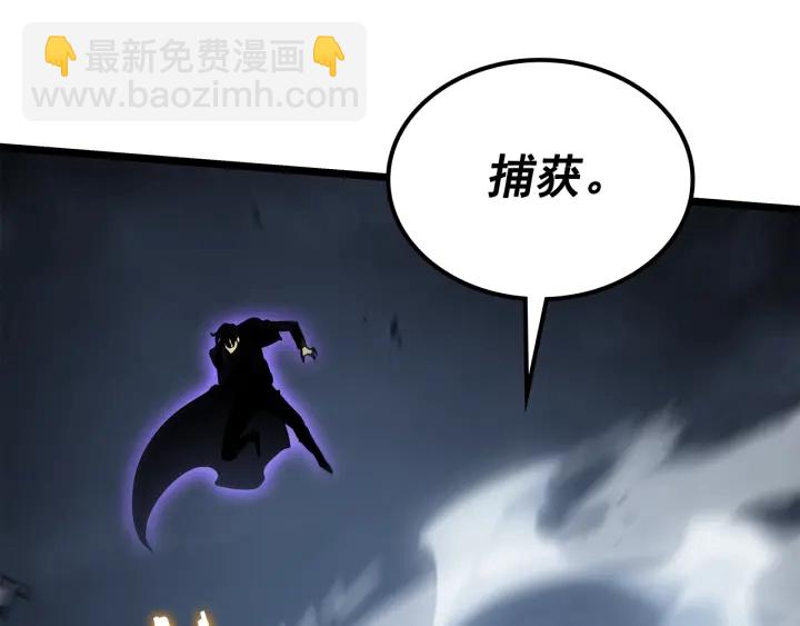 🍘我独自升级 第147话  一拳接一拳 第29页