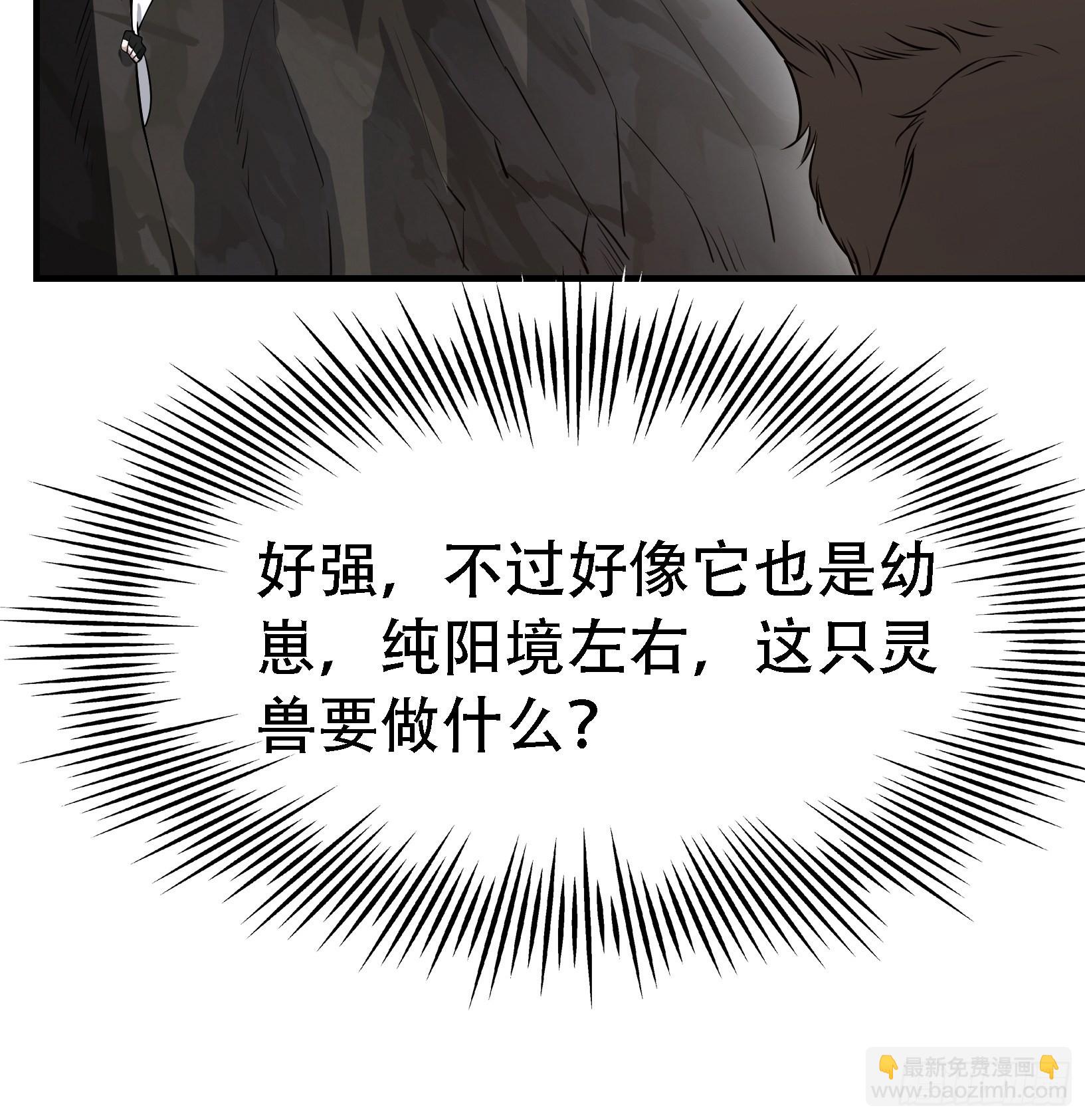 第二十五话：灵兽现身！(1/2)-第27话
