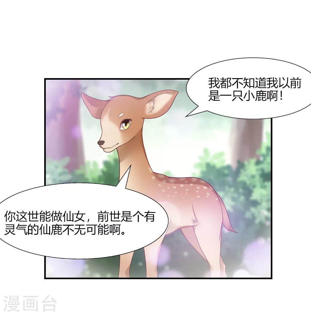 第33话 往尘镜里有玄机-第33话