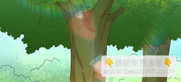 🍘我和妹子们的荒岛余生 第12话 钻洞很厉害 第6页